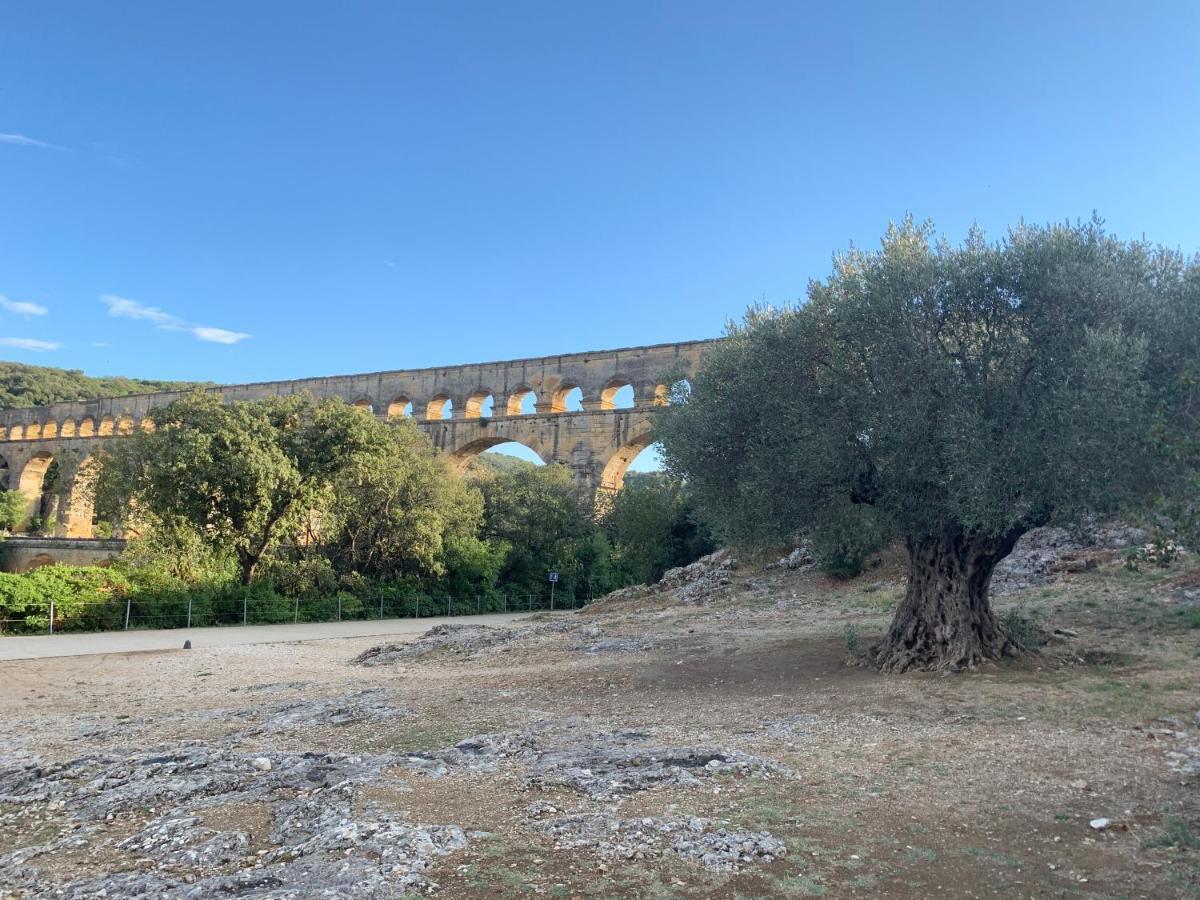 La Magnanerie De Dions Bed and Breakfast Εξωτερικό φωτογραφία