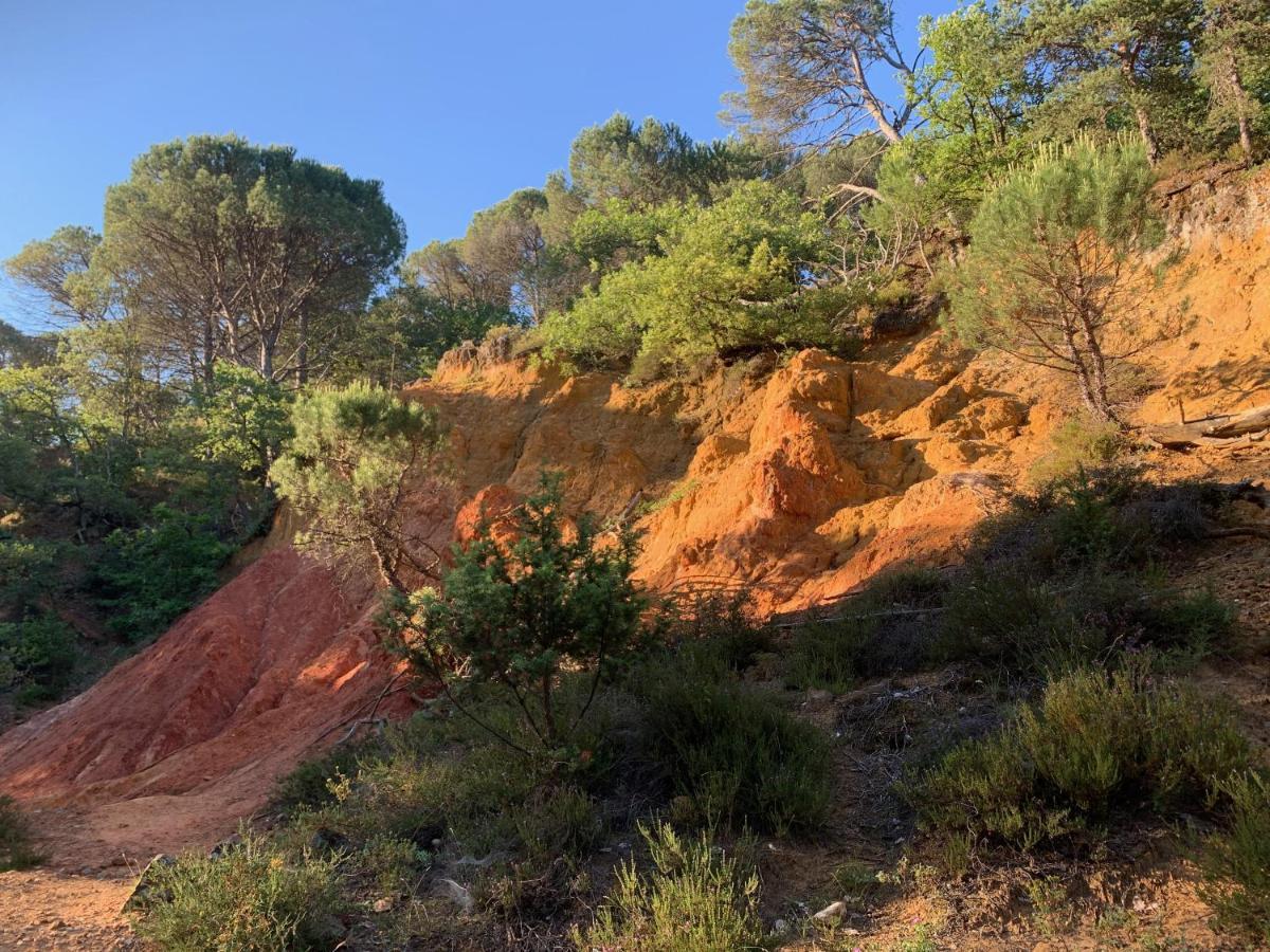 La Magnanerie De Dions Bed and Breakfast Εξωτερικό φωτογραφία